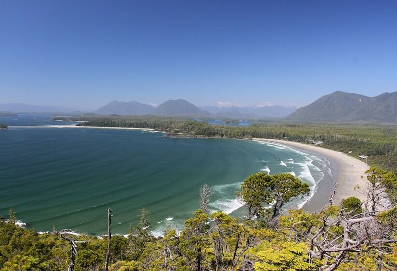 펜션 Black Bear Guesthouse