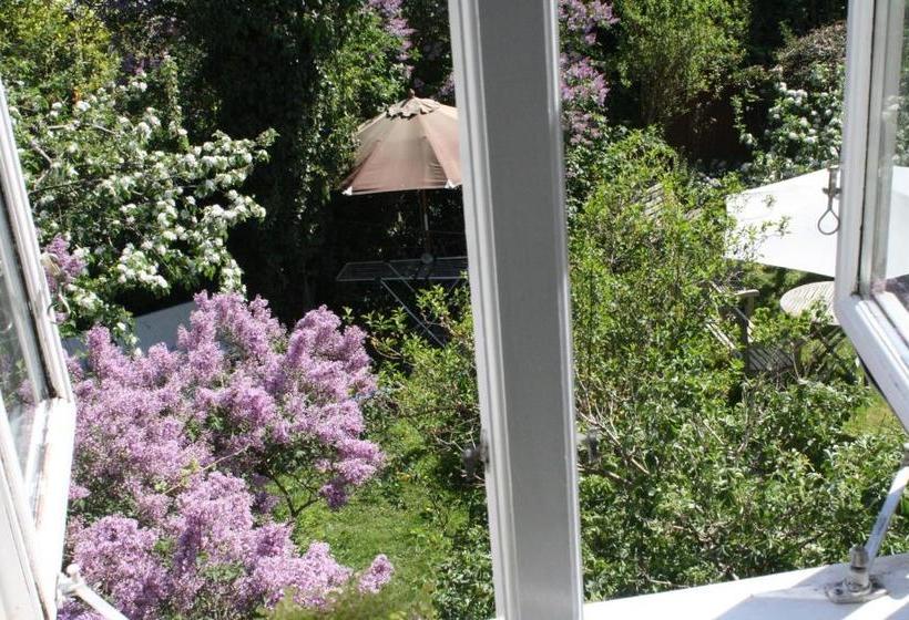 بنسيون The Little Guesthouse