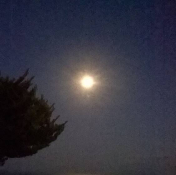 Pensionat Villa Koronios