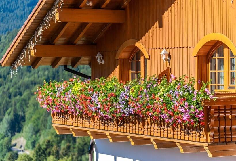 Pension Happy Superior