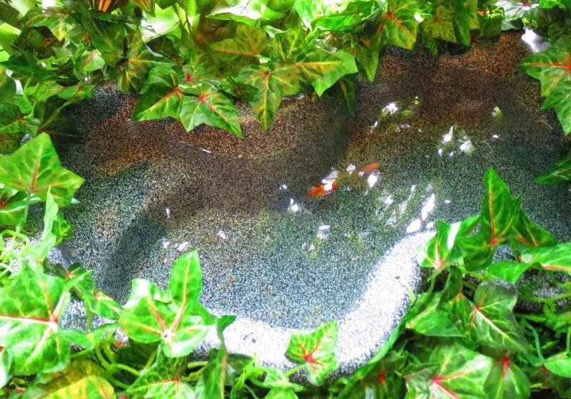 호스텔 Stella Resort