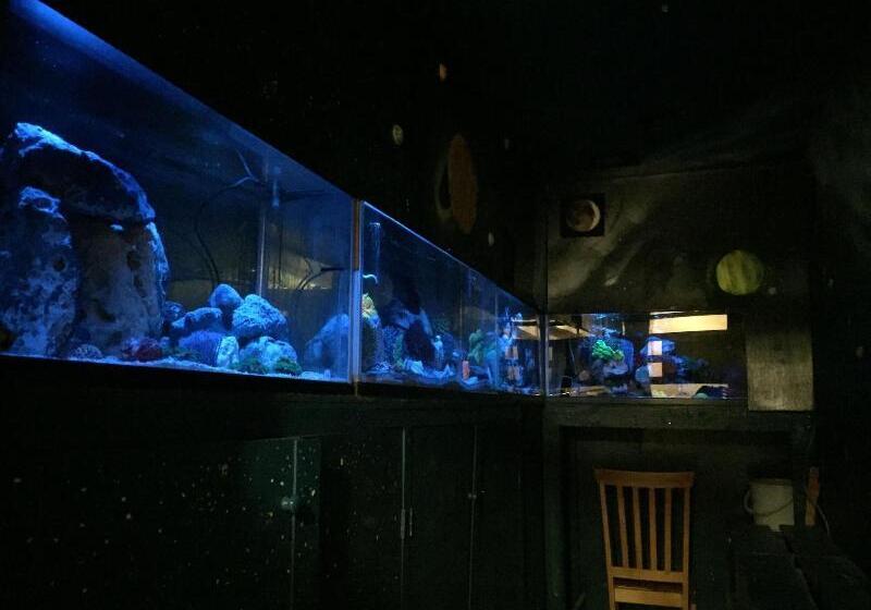 호스텔 Stella Resort