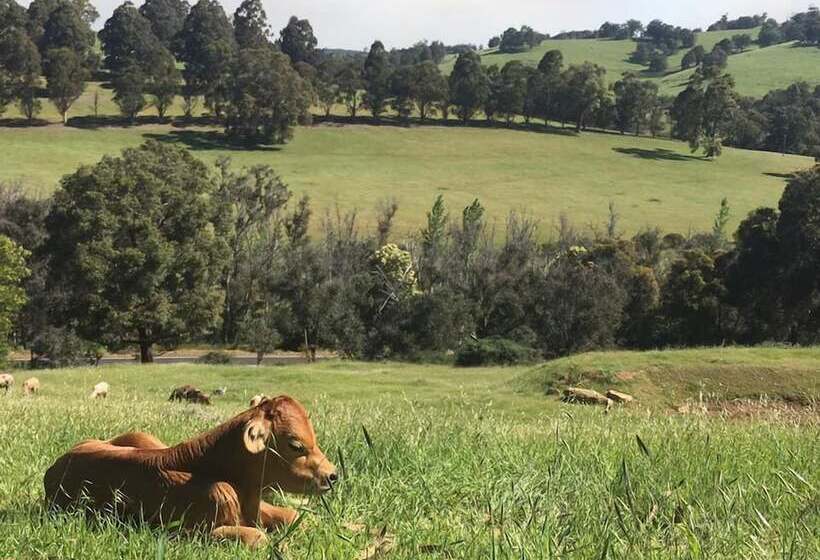Balingup Highview Chalets