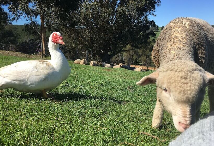 Balingup Highview Chalets