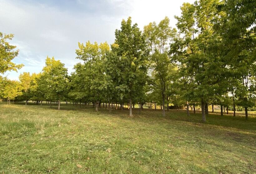 تختخواب و صبحانه Bella Manga Country Escape