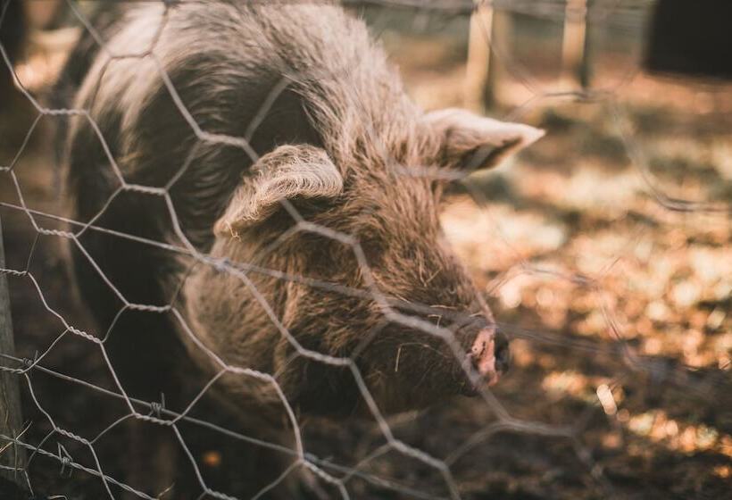 민박 Bella Manga Country Escape