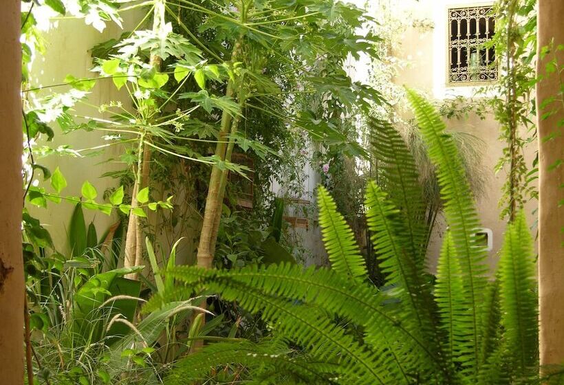 تختخواب و صبحانه Dar Zahia