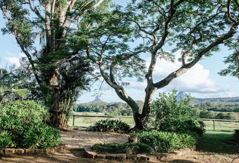 Blackwattle Farm B&b And Farm Stay