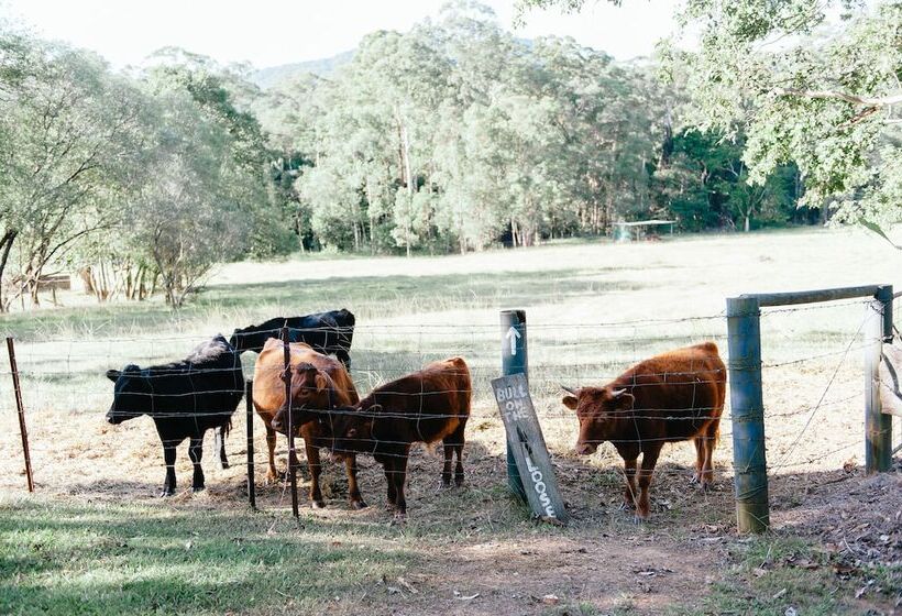 Blackwattle Farm B&b And Farm Stay