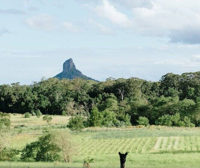 Blackwattle Farm B&b And Farm Stay