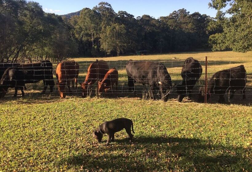Blackwattle Farm B&b And Farm Stay