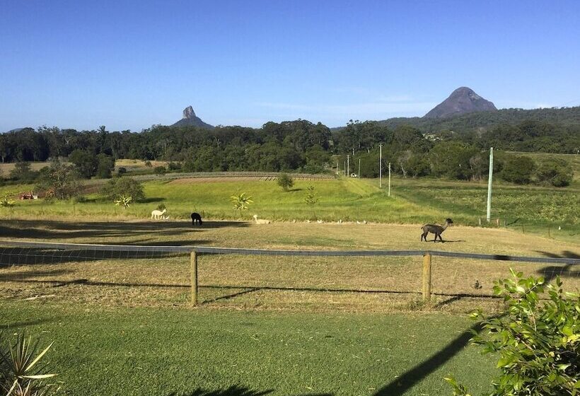 Blackwattle Farm B&b And Farm Stay