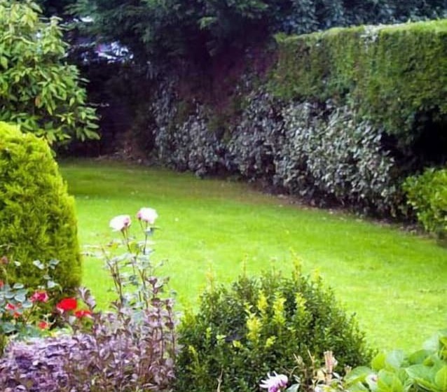 Broadlands Bed And Breakfast