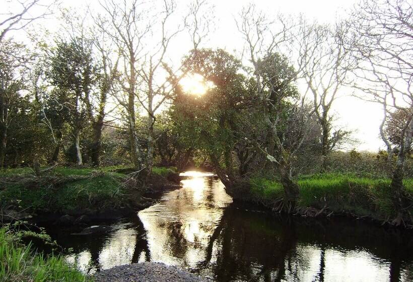 Cloverfox Connemara Hostel