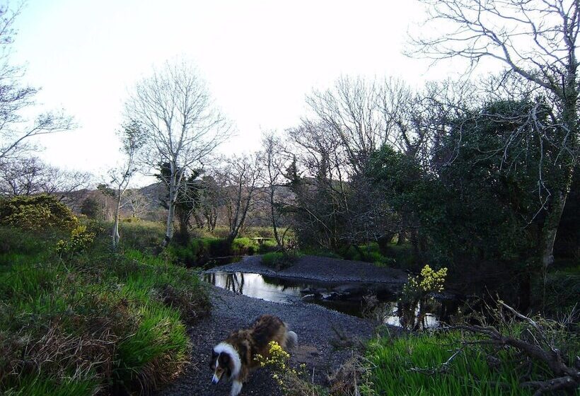 Cloverfox Connemara Hostel