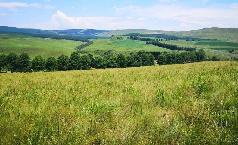 בית מלון כפרי Amazian Mountain River Lodge