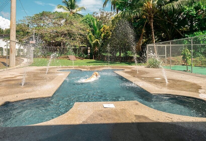 ホテル Costa Pacifica