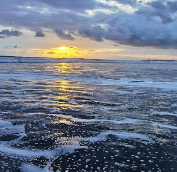 酒店 Delfin Playa Bejuco