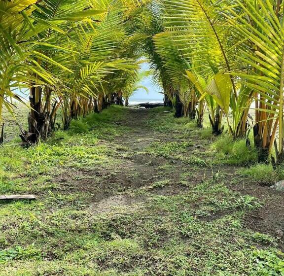 酒店 Delfin Playa Bejuco