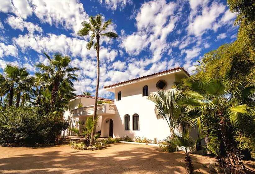 هتل Hacienda Todos Los Santos