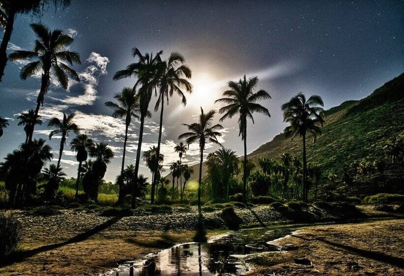 هتل Hacienda Todos Los Santos