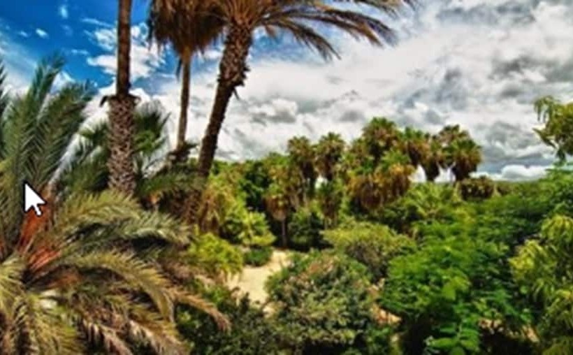 酒店 Hacienda Todos Los Santos