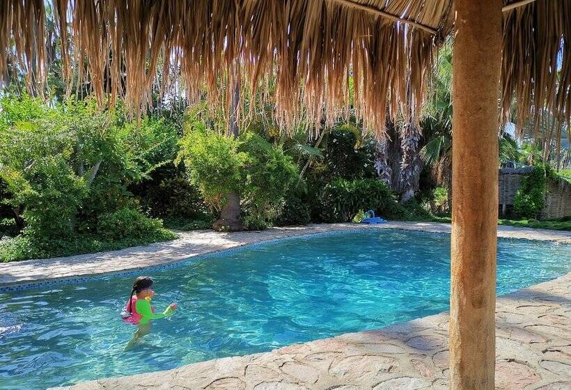 酒店 Hacienda Todos Los Santos