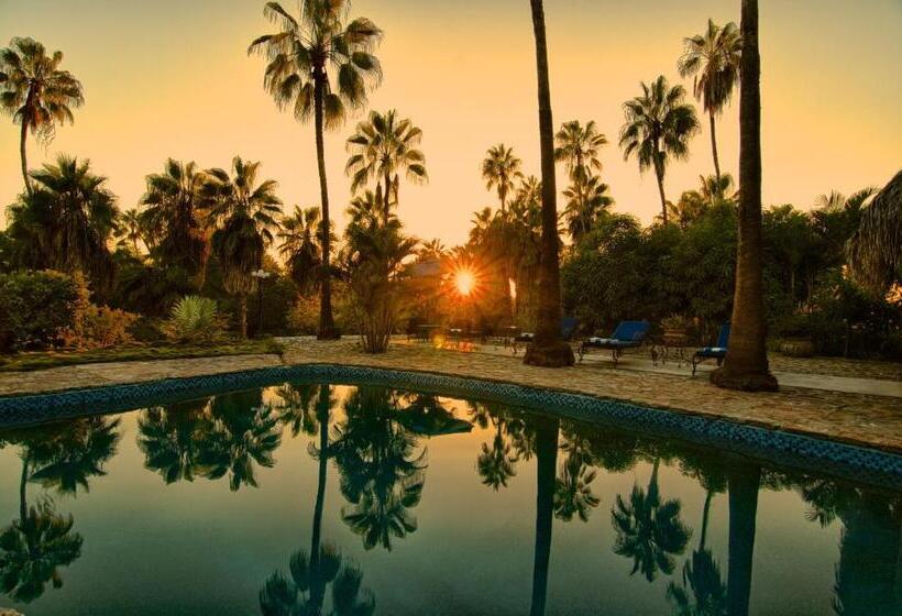 酒店 Hacienda Todos Los Santos