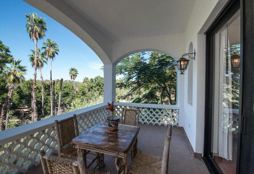 酒店 Hacienda Todos Los Santos