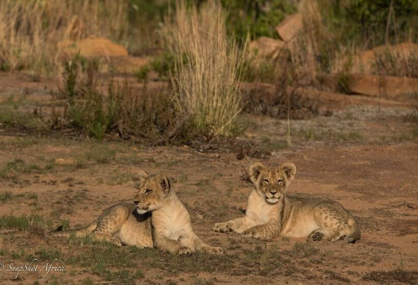 בית מלון כפרי Nedile Lodge