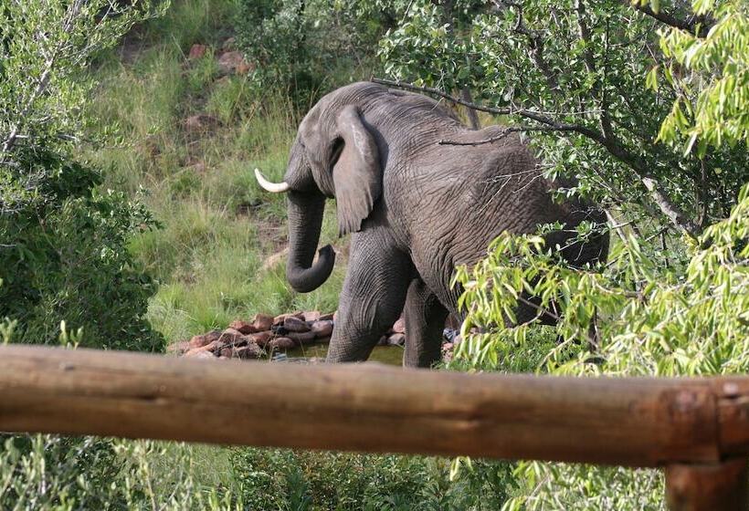בית מלון כפרי Nedile Lodge