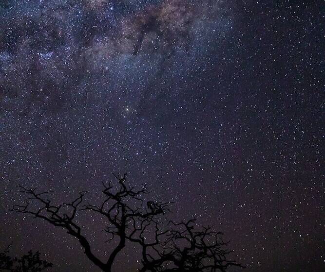 בית מלון כפרי Nedile Lodge