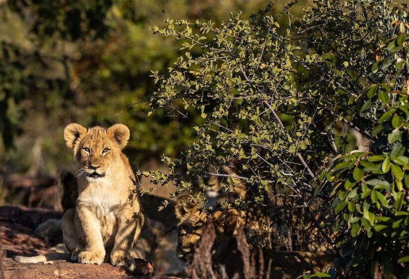 בית מלון כפרי Nedile Lodge