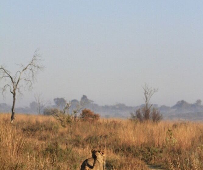 בית מלון כפרי Nedile Lodge