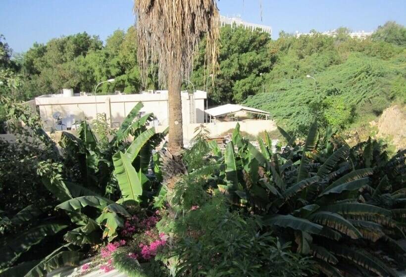 فندق Qurum Beach