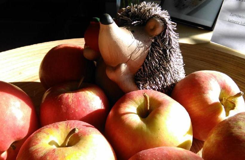 هتل Rezydencja Izabella