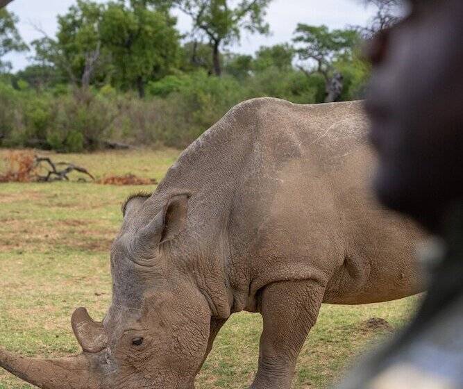 בית מלון כפרי Sediba Luxury Safari Lodge