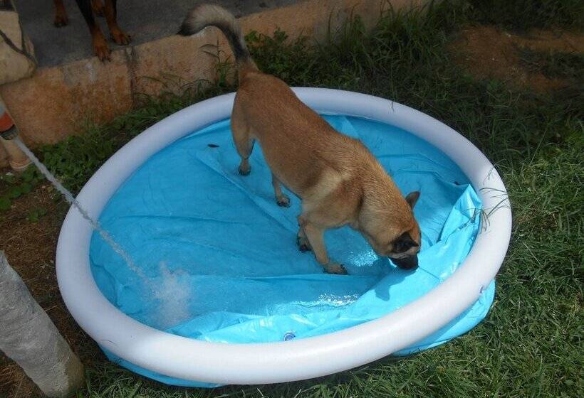 Parrot Paradise Resort