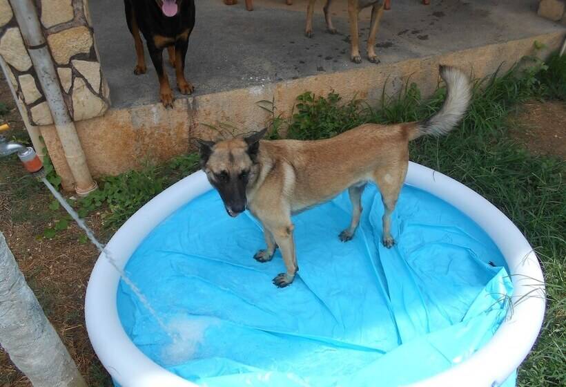 Parrot Paradise Resort