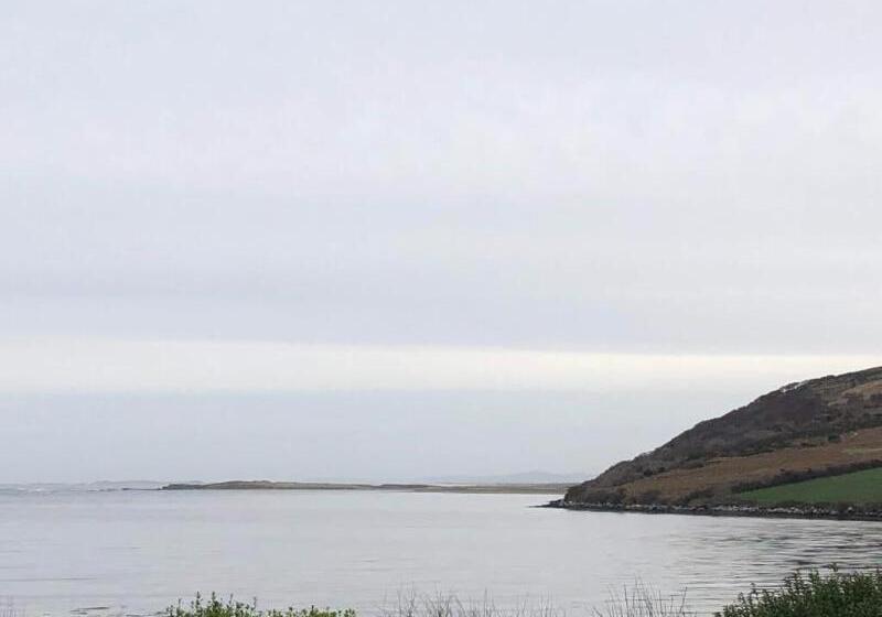 بنسيون O Connors Guesthouse