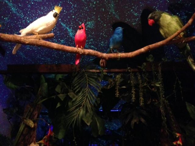 호스텔 Stella Resort