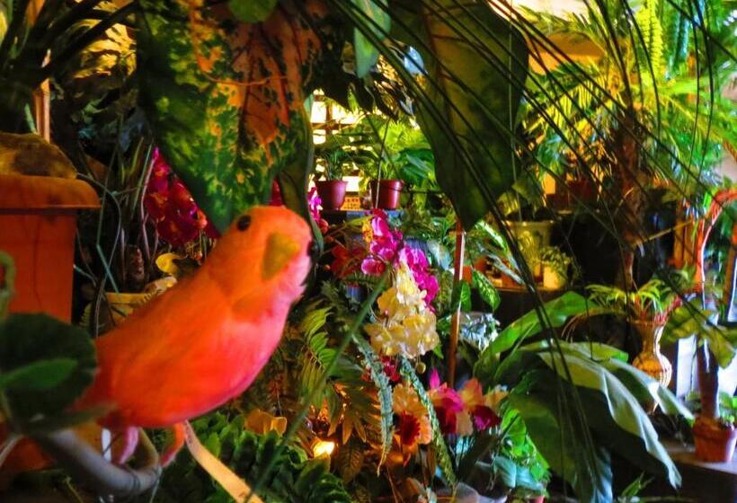 호스텔 Stella Resort