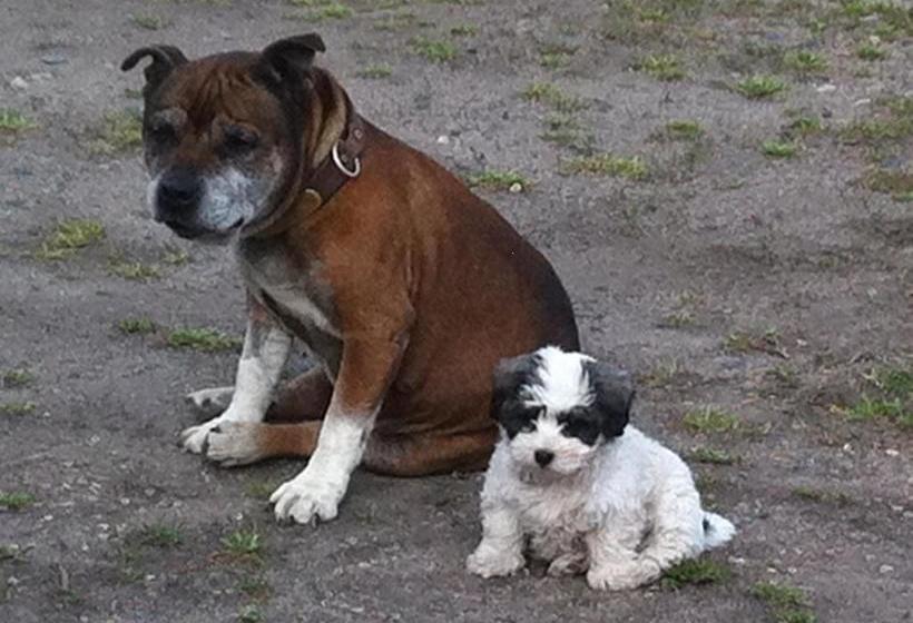 Walcha Royal Cafe & Accommodation