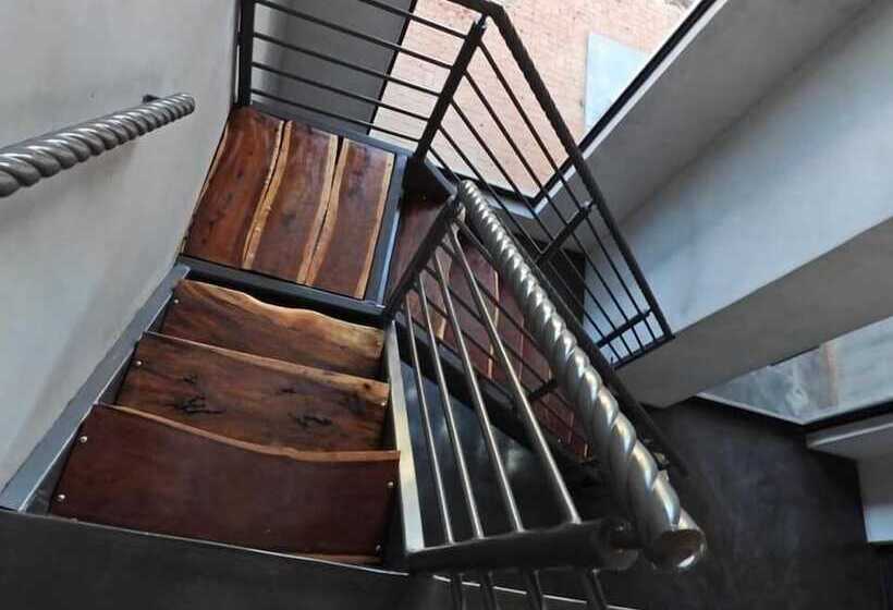 مبيت وإفطار Anisa Guesthouse