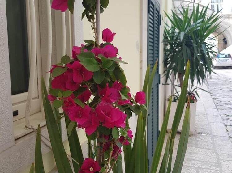 Bed and Breakfast Arco Gentile