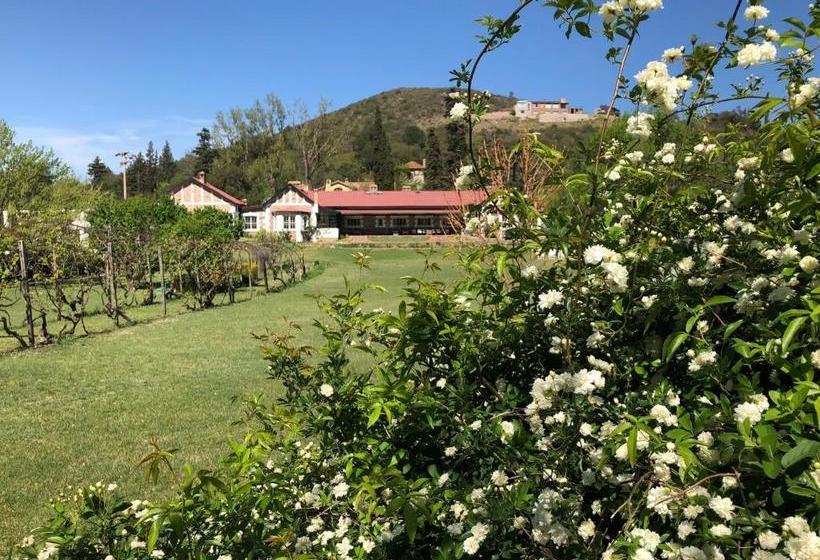 تختخواب و صبحانه Reydon