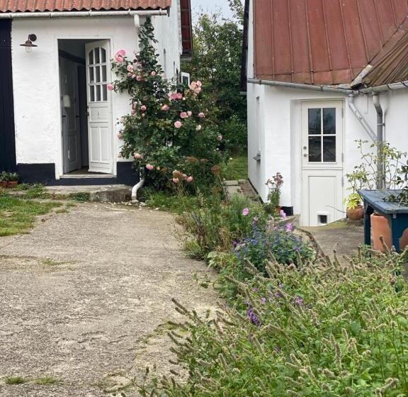 Camønogaarden Et B&b, Kursus Center Og Refugie På østmøn