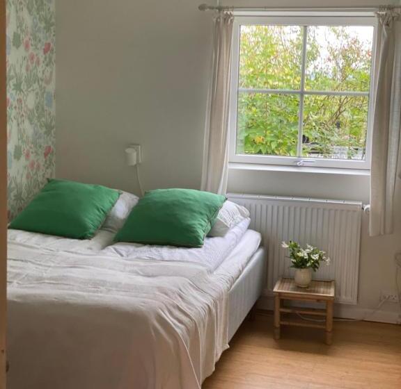 Camønogaarden Et B&b, Kursus Center Og Refugie På østmøn