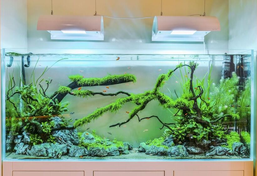 Center Hotel Xi’an Bell Tower