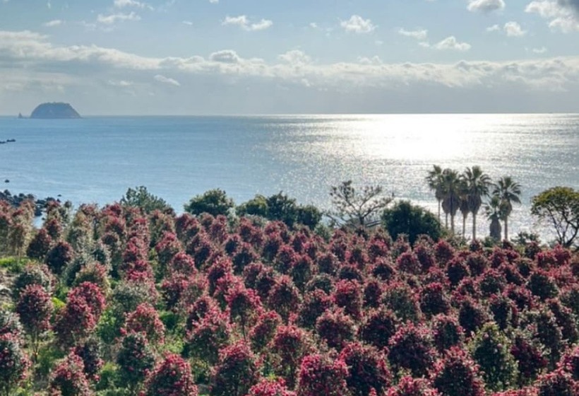 Goldone Hotel & Suites